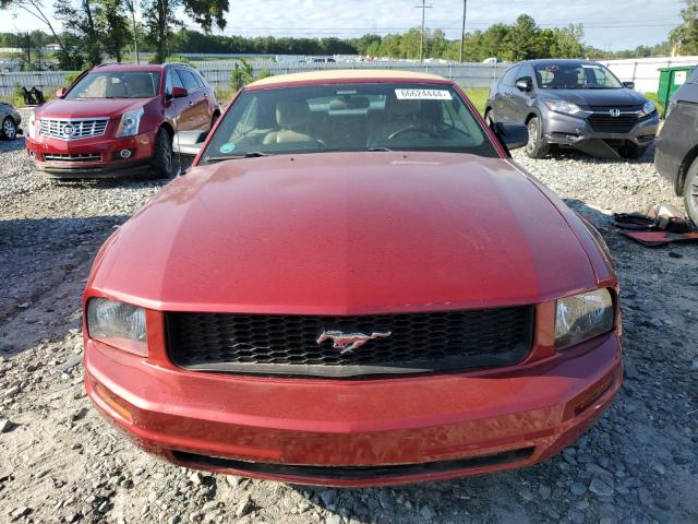 Photo 4 VIN: 1ZVFT84N165178952 - FORD MUSTANG 