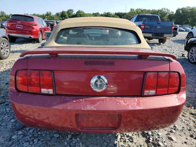 Photo 5 VIN: 1ZVFT84N165178952 - FORD MUSTANG 