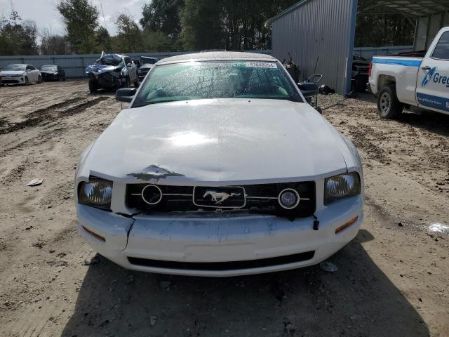 Photo 4 VIN: 1ZVFT84N175269799 - FORD MUSTANG 