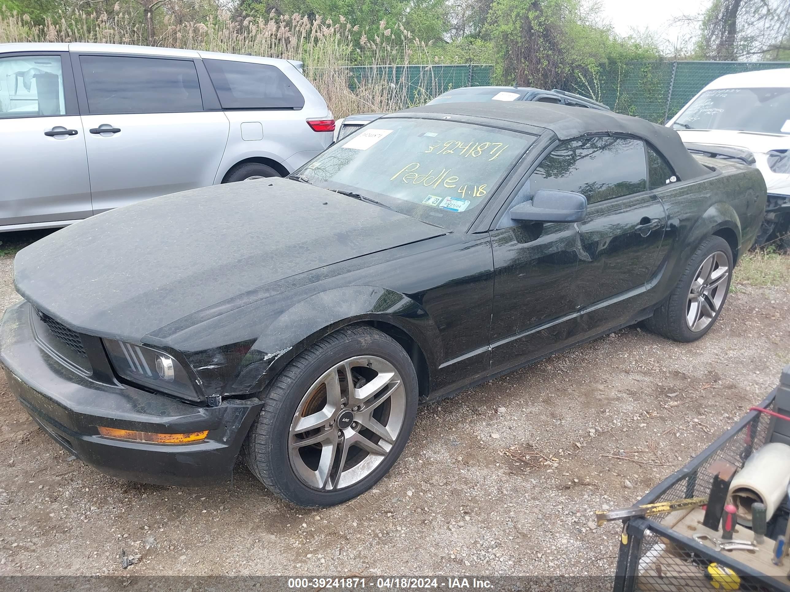 Photo 1 VIN: 1ZVFT84N255233990 - FORD MUSTANG 