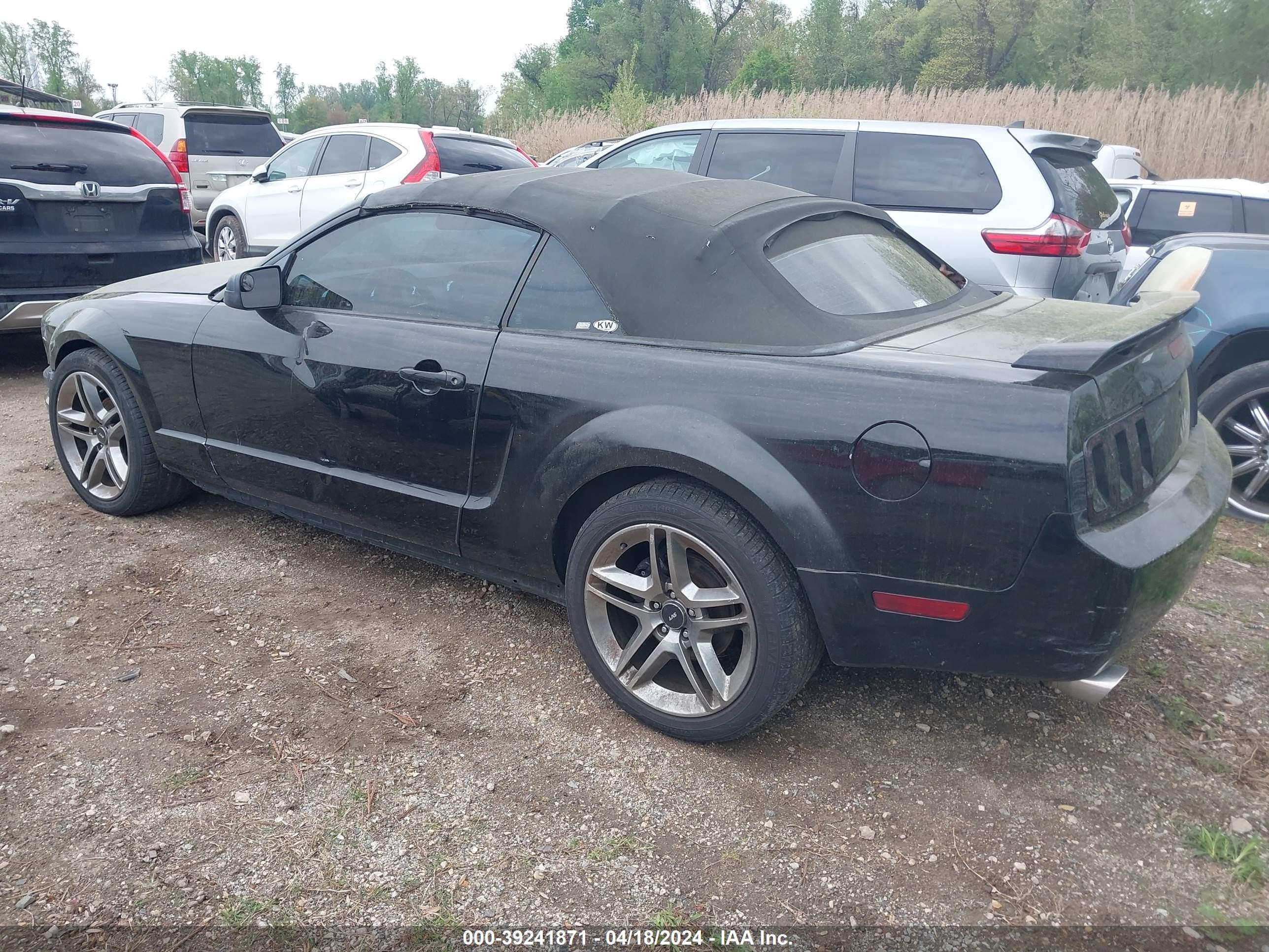 Photo 2 VIN: 1ZVFT84N255233990 - FORD MUSTANG 