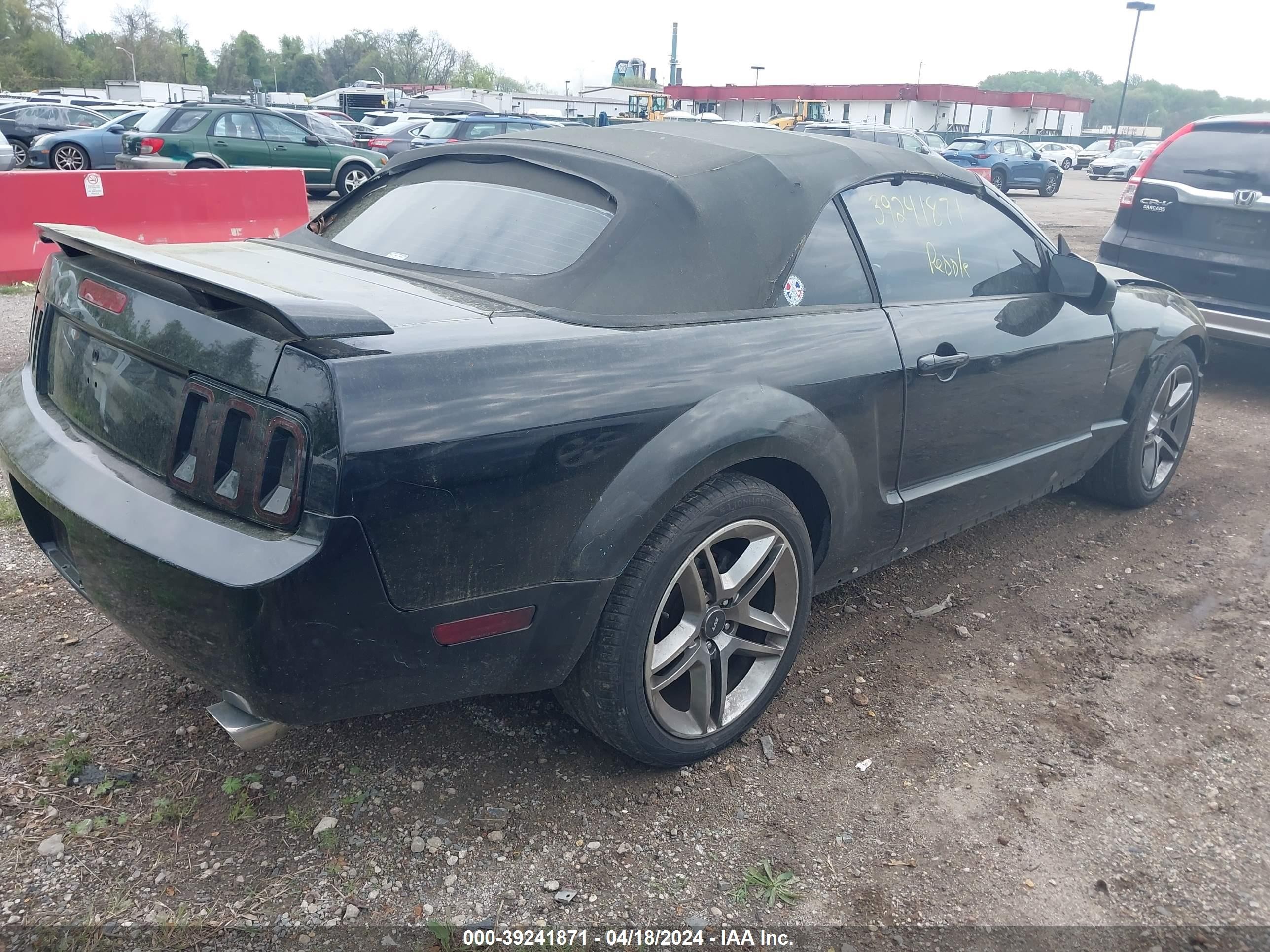 Photo 3 VIN: 1ZVFT84N255233990 - FORD MUSTANG 