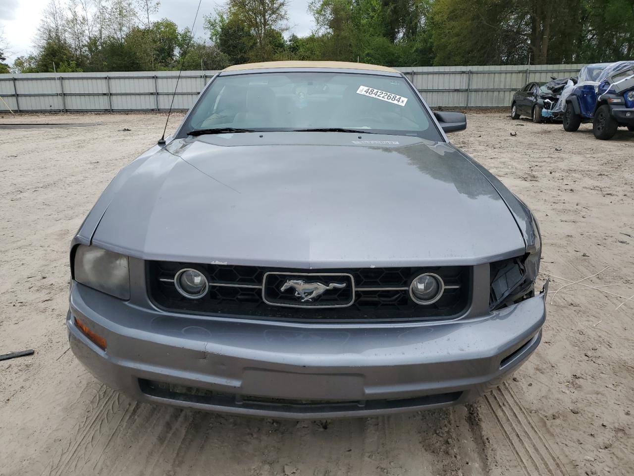 Photo 4 VIN: 1ZVFT84N265150478 - FORD MUSTANG 