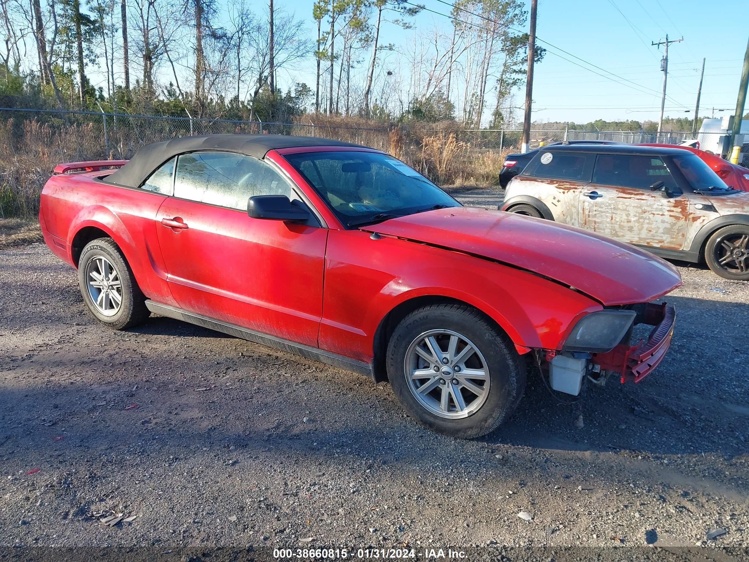 Photo 1 VIN: 1ZVFT84N265199163 - FORD MUSTANG 