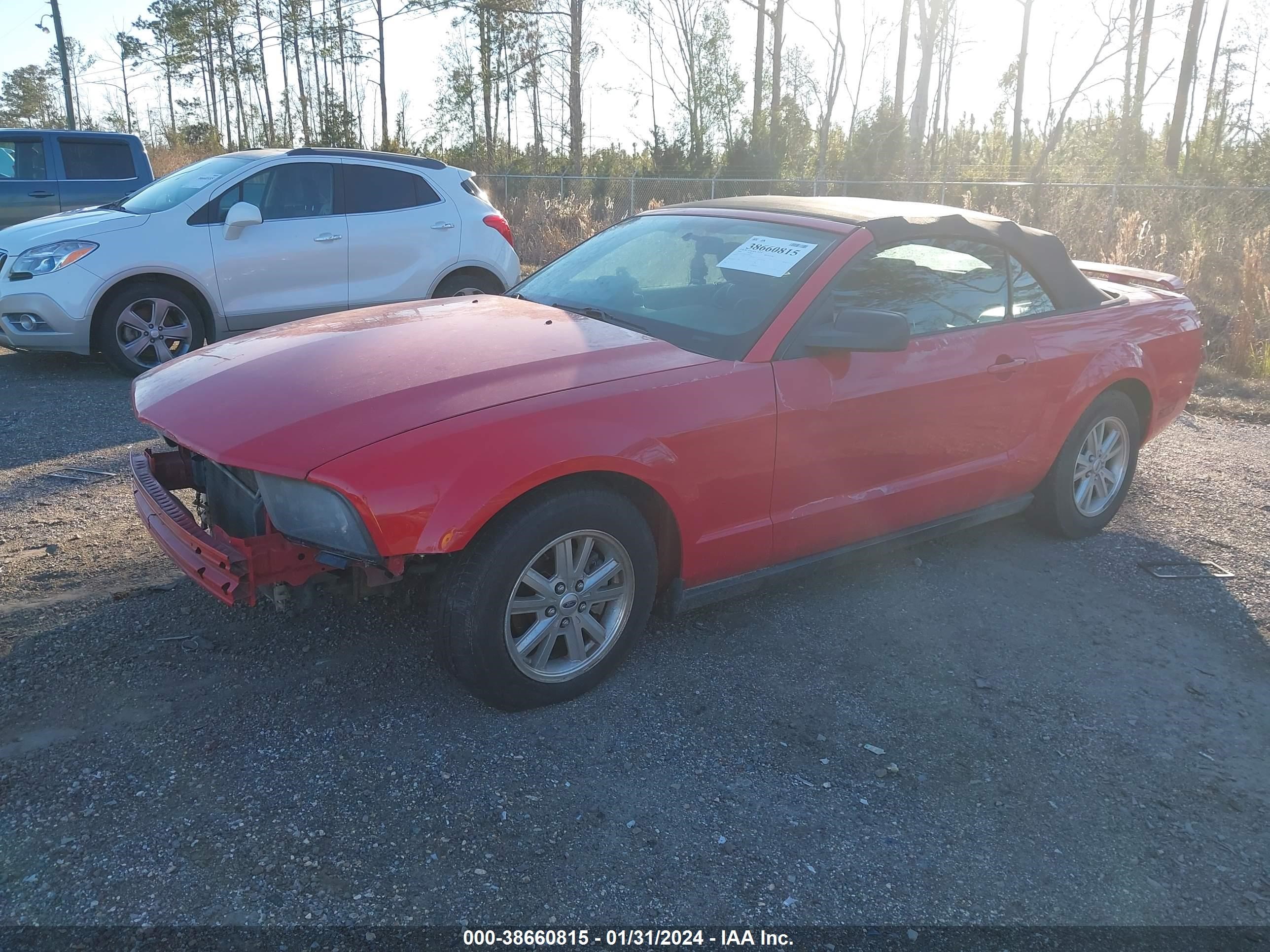 Photo 2 VIN: 1ZVFT84N265199163 - FORD MUSTANG 