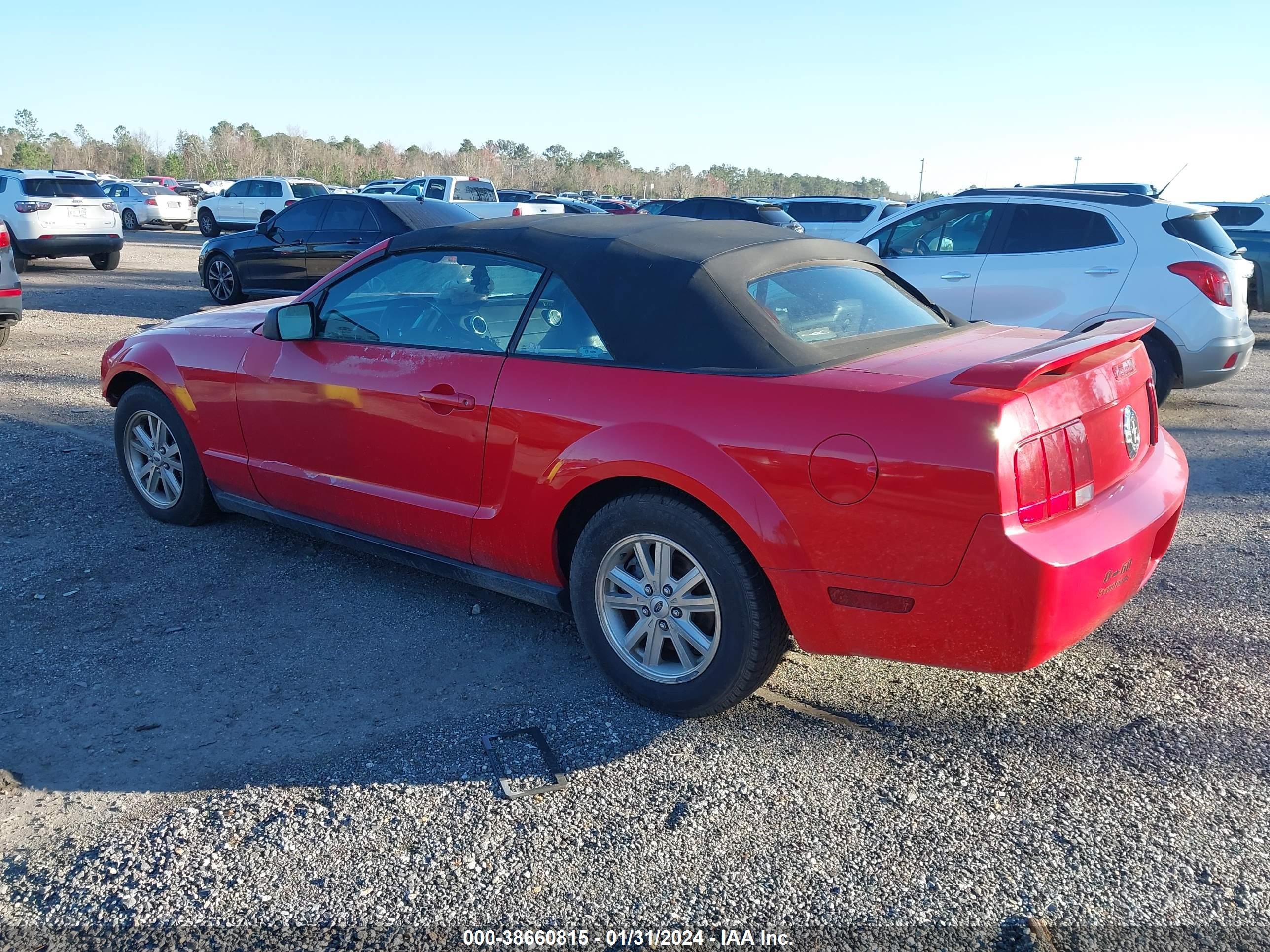 Photo 3 VIN: 1ZVFT84N265199163 - FORD MUSTANG 