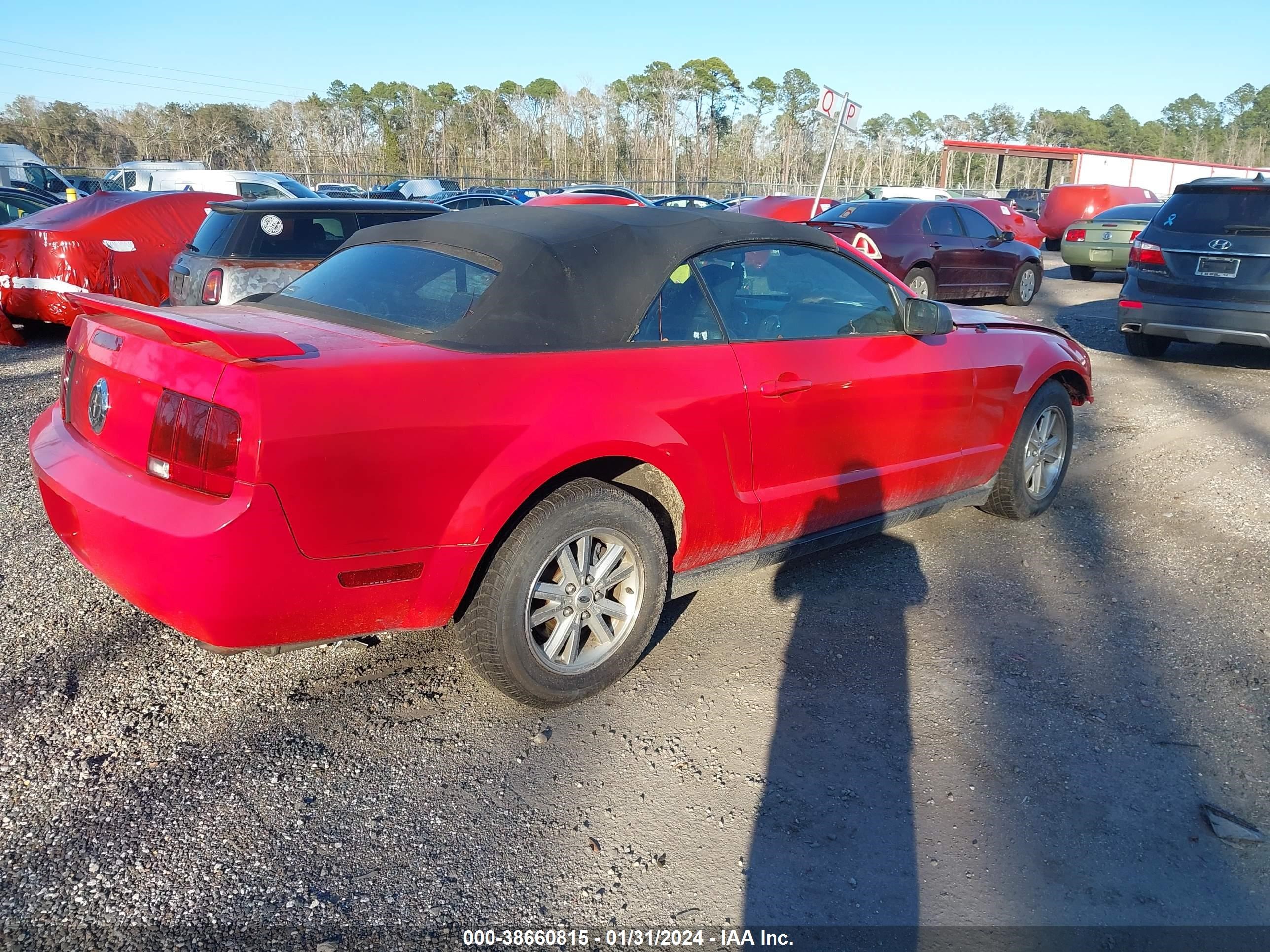 Photo 4 VIN: 1ZVFT84N265199163 - FORD MUSTANG 