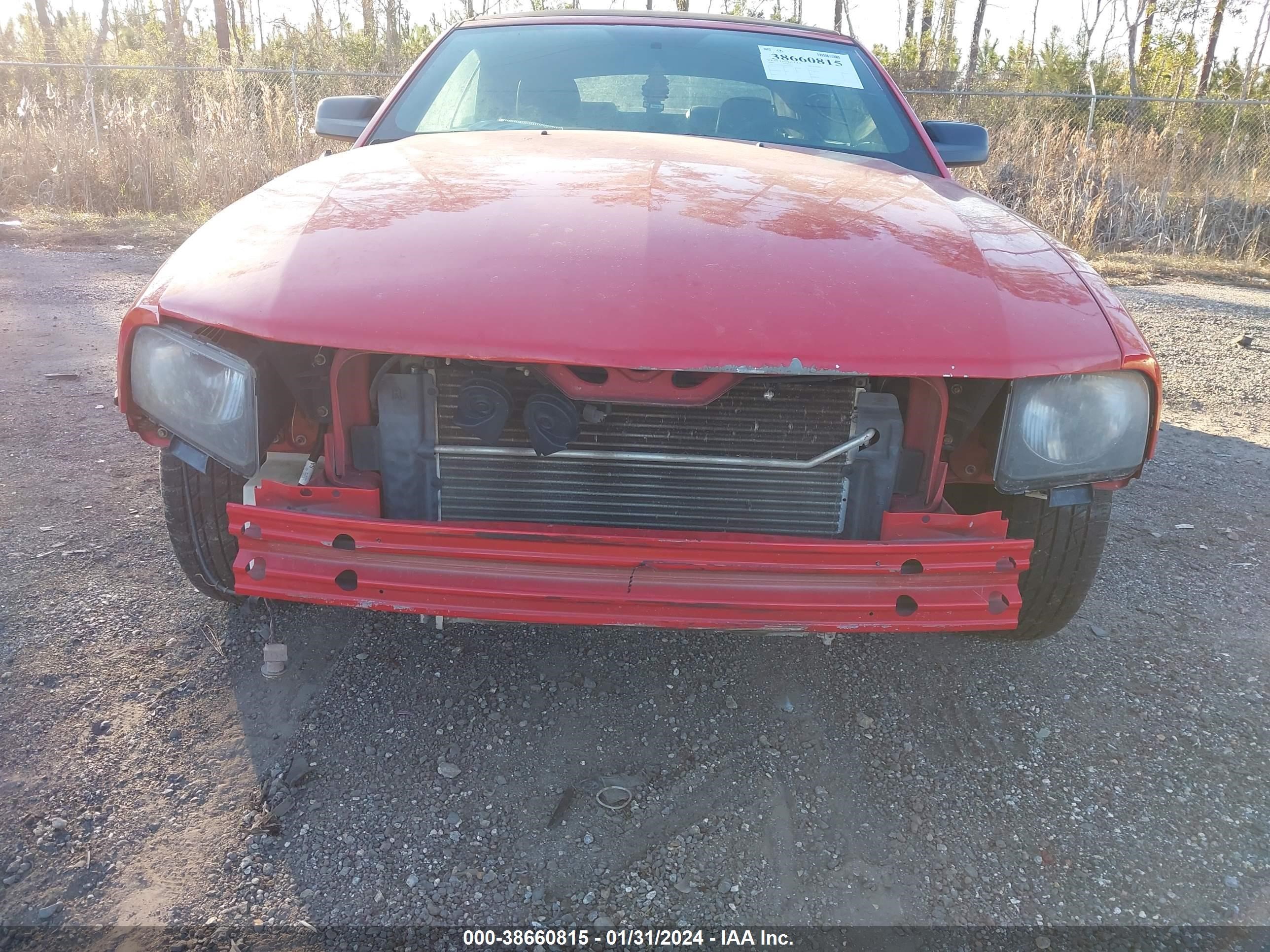 Photo 6 VIN: 1ZVFT84N265199163 - FORD MUSTANG 