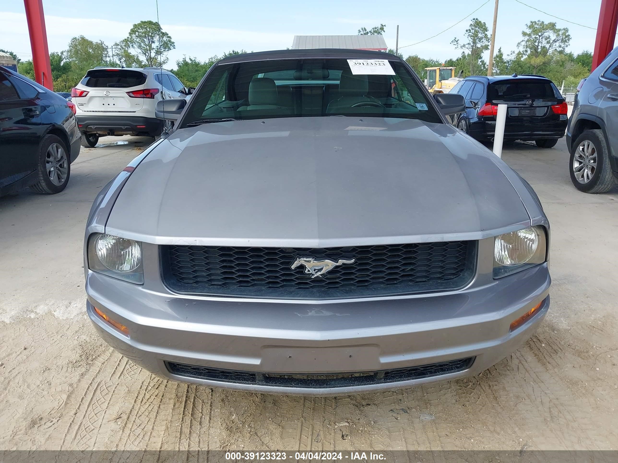 Photo 11 VIN: 1ZVFT84N265212896 - FORD MUSTANG 