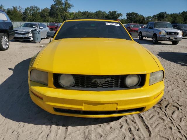 Photo 4 VIN: 1ZVFT84N355188851 - FORD MUSTANG 