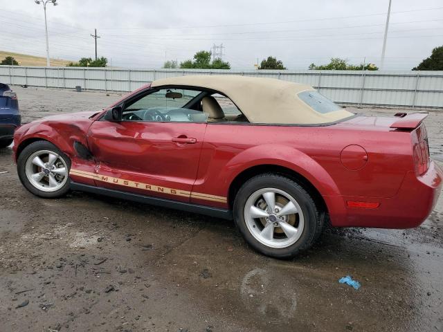 Photo 1 VIN: 1ZVFT84N365105744 - FORD MUSTANG 