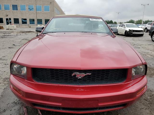 Photo 4 VIN: 1ZVFT84N365105744 - FORD MUSTANG 