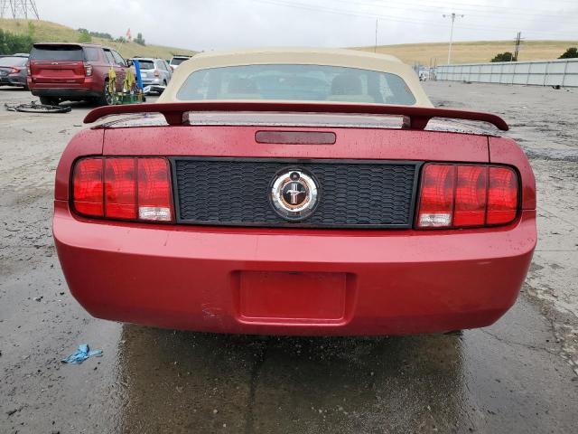 Photo 5 VIN: 1ZVFT84N365105744 - FORD MUSTANG 