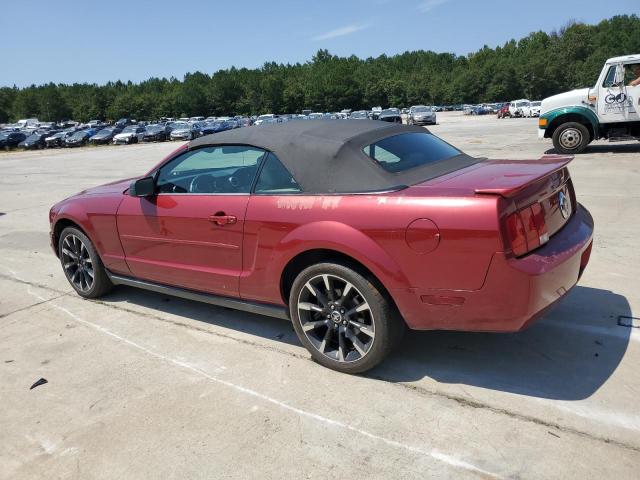 Photo 1 VIN: 1ZVFT84N375262112 - FORD MUSTANG 