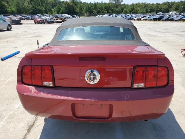 Photo 5 VIN: 1ZVFT84N375262112 - FORD MUSTANG 