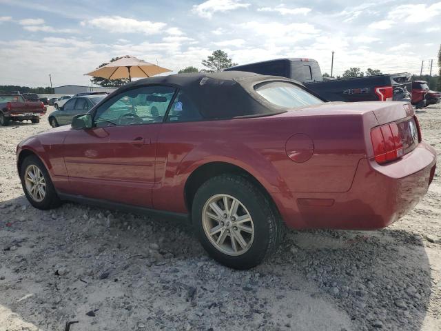 Photo 1 VIN: 1ZVFT84N375269688 - FORD MUSTANG 