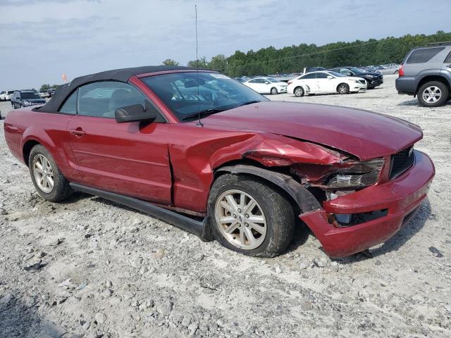 Photo 3 VIN: 1ZVFT84N375269688 - FORD MUSTANG 