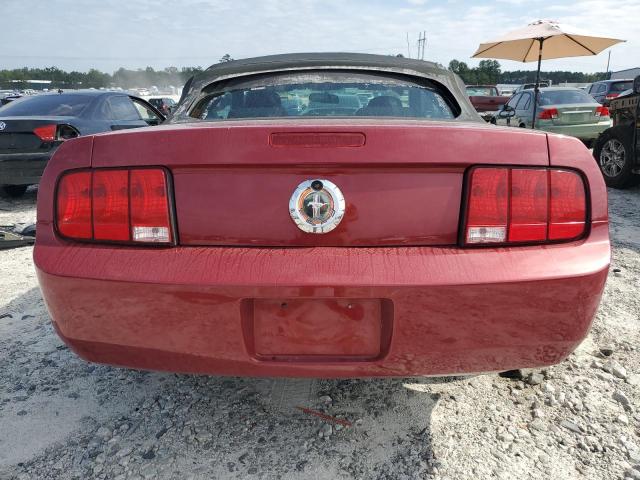 Photo 5 VIN: 1ZVFT84N375269688 - FORD MUSTANG 