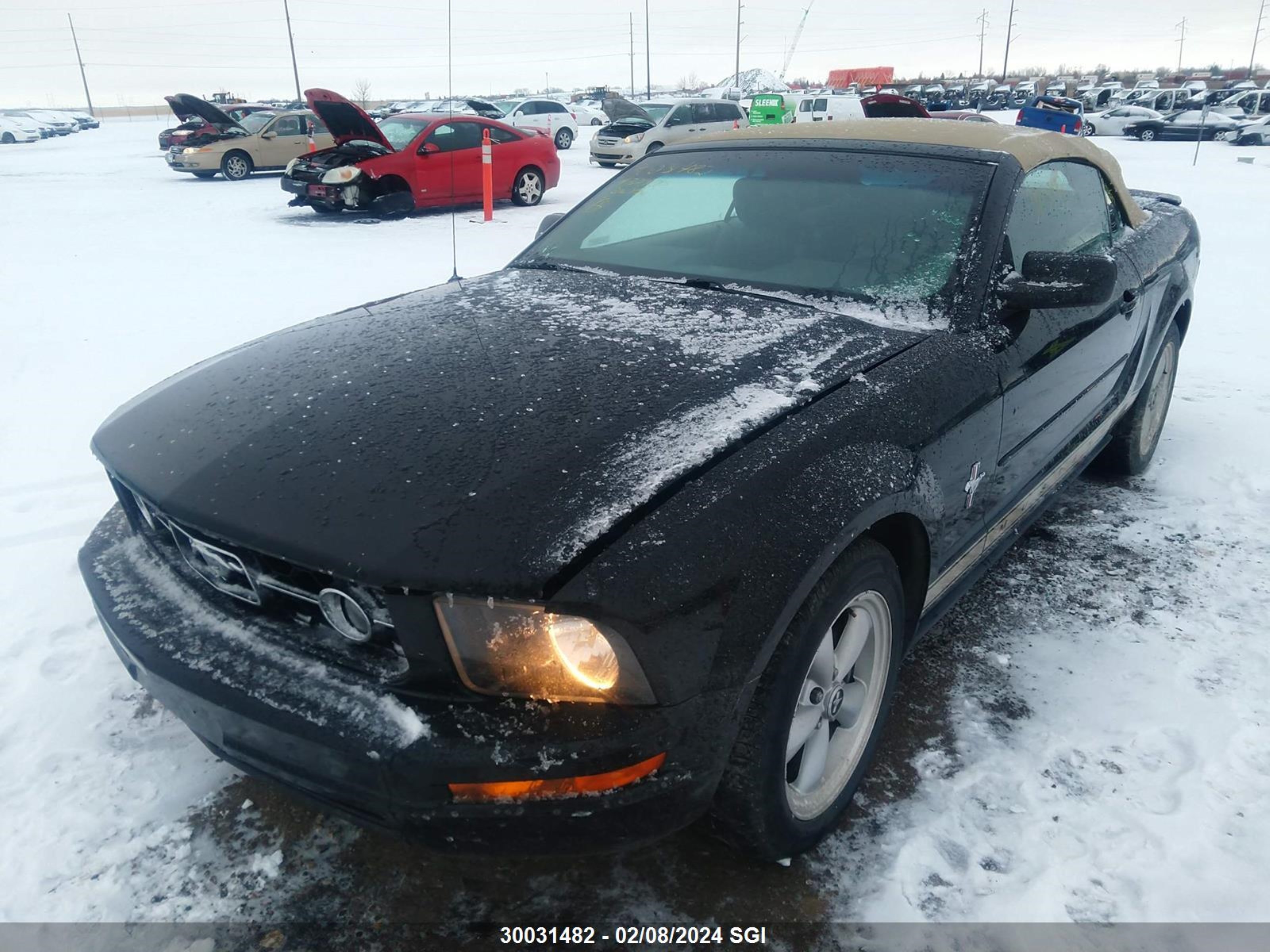 Photo 1 VIN: 1ZVFT84N375327170 - FORD MUSTANG 