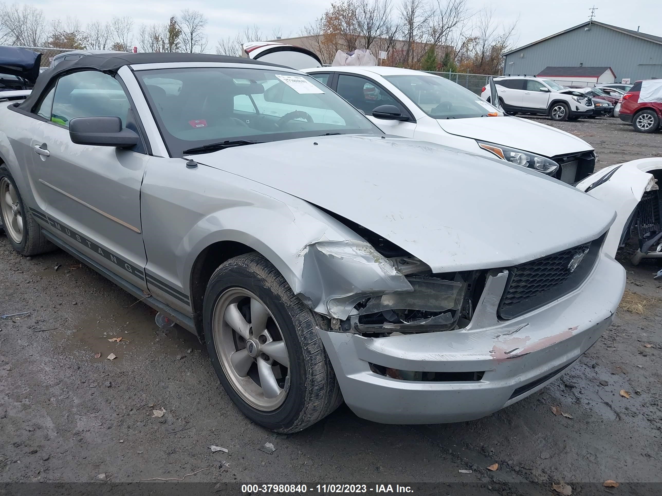 Photo 5 VIN: 1ZVFT84N455216270 - FORD MUSTANG 