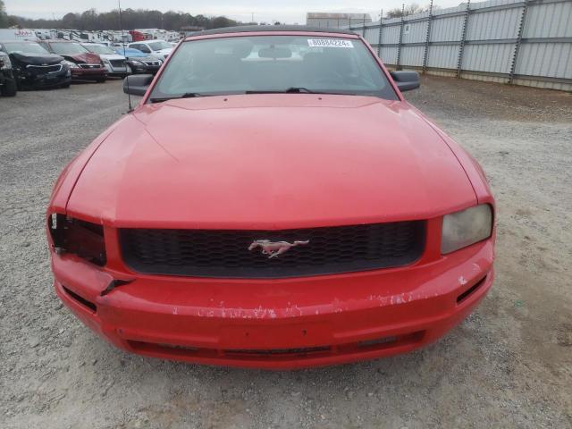 Photo 4 VIN: 1ZVFT84N455258552 - FORD MUSTANG 