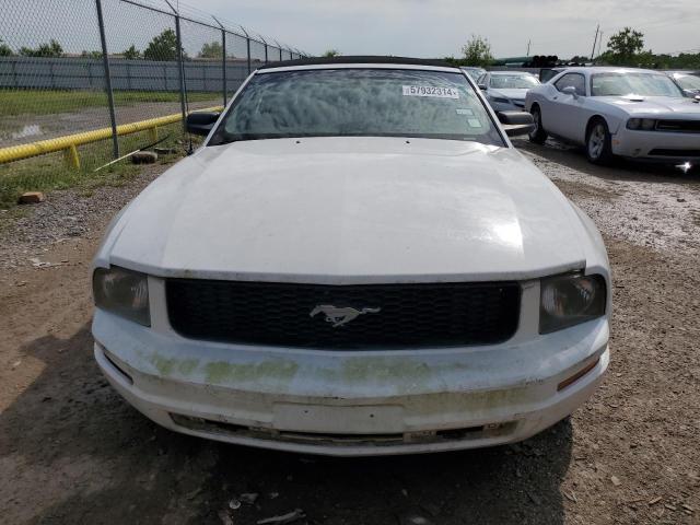 Photo 4 VIN: 1ZVFT84N465234754 - FORD MUSTANG 