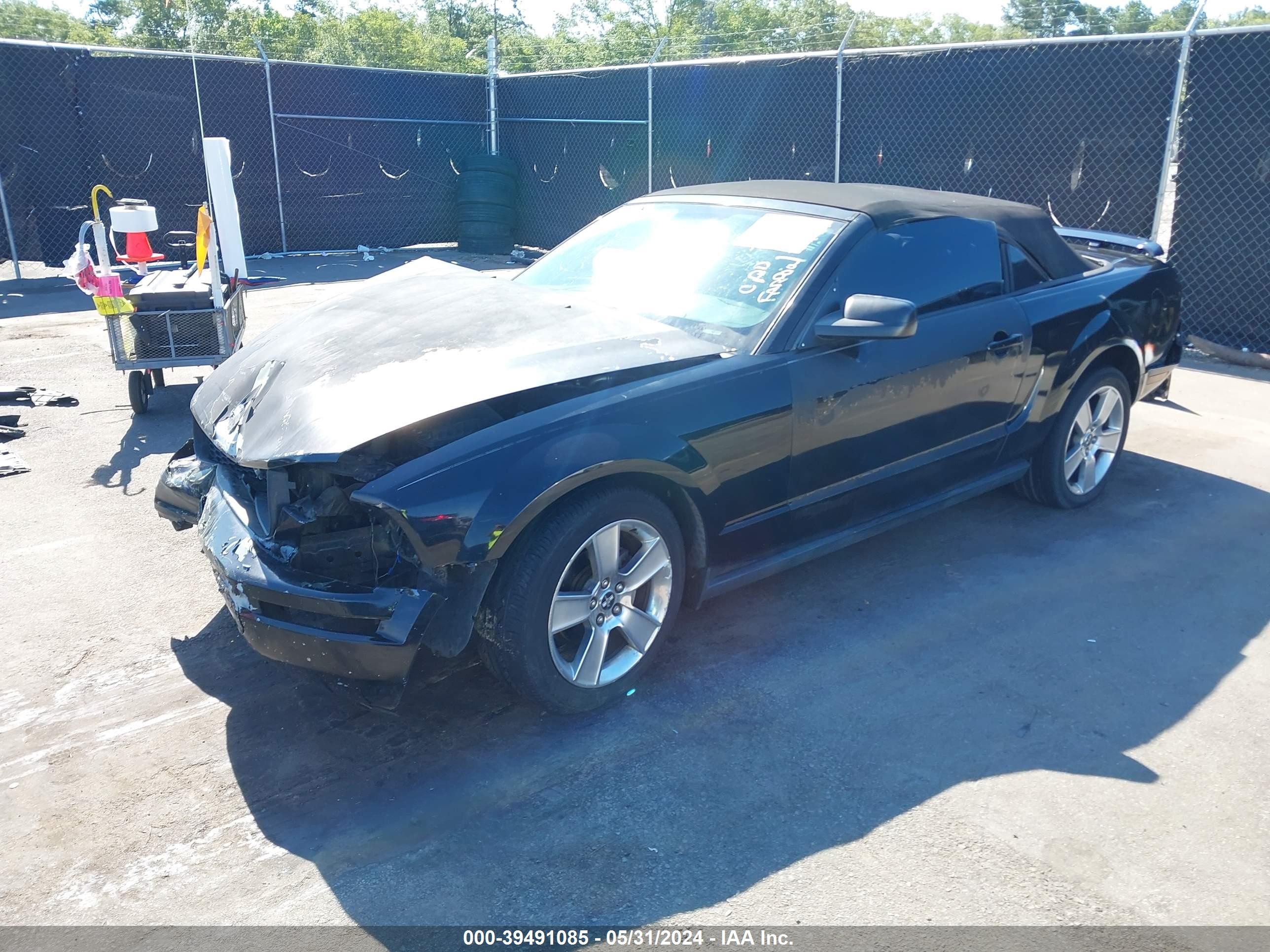 Photo 1 VIN: 1ZVFT84N555259676 - FORD MUSTANG 