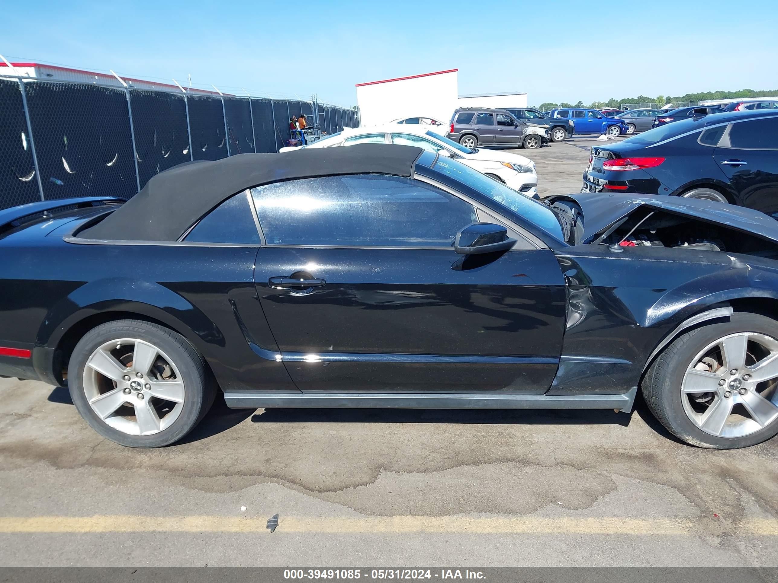 Photo 11 VIN: 1ZVFT84N555259676 - FORD MUSTANG 