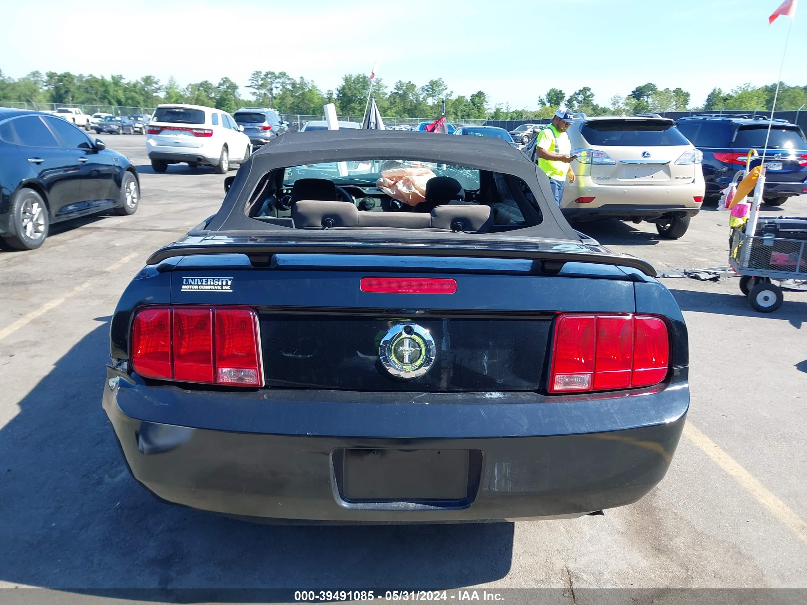 Photo 14 VIN: 1ZVFT84N555259676 - FORD MUSTANG 