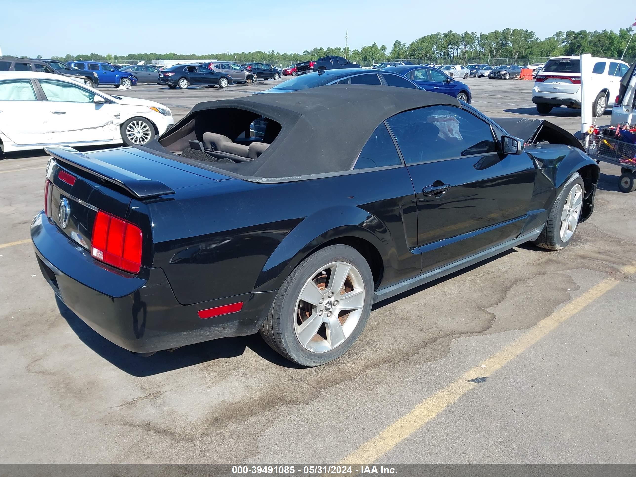 Photo 3 VIN: 1ZVFT84N555259676 - FORD MUSTANG 