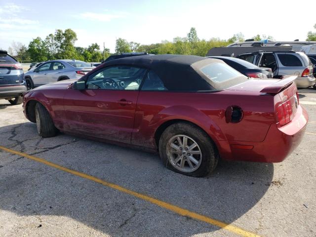 Photo 1 VIN: 1ZVFT84N665206423 - FORD MUSTANG 