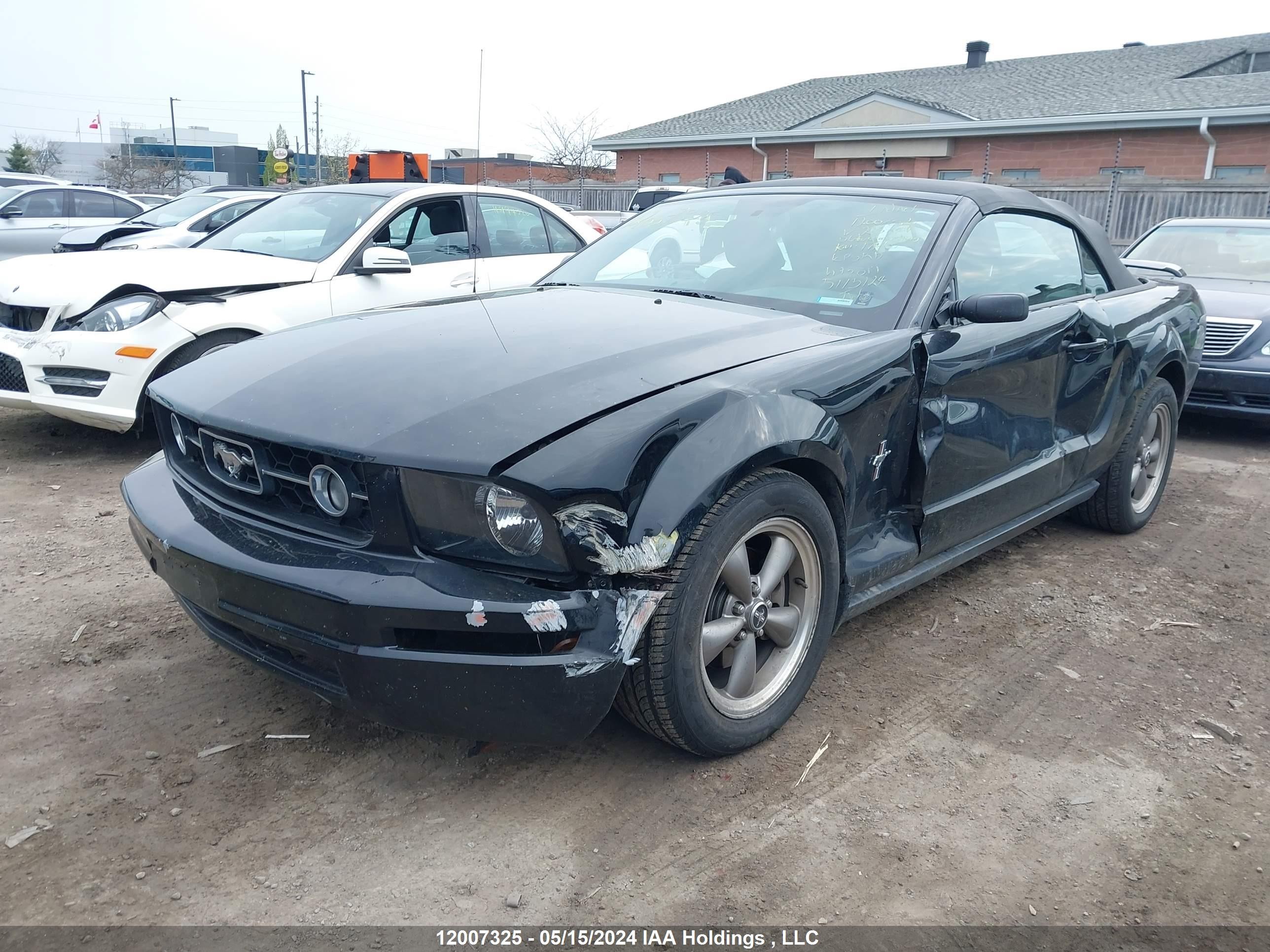 Photo 1 VIN: 1ZVFT84N665243049 - FORD MUSTANG 