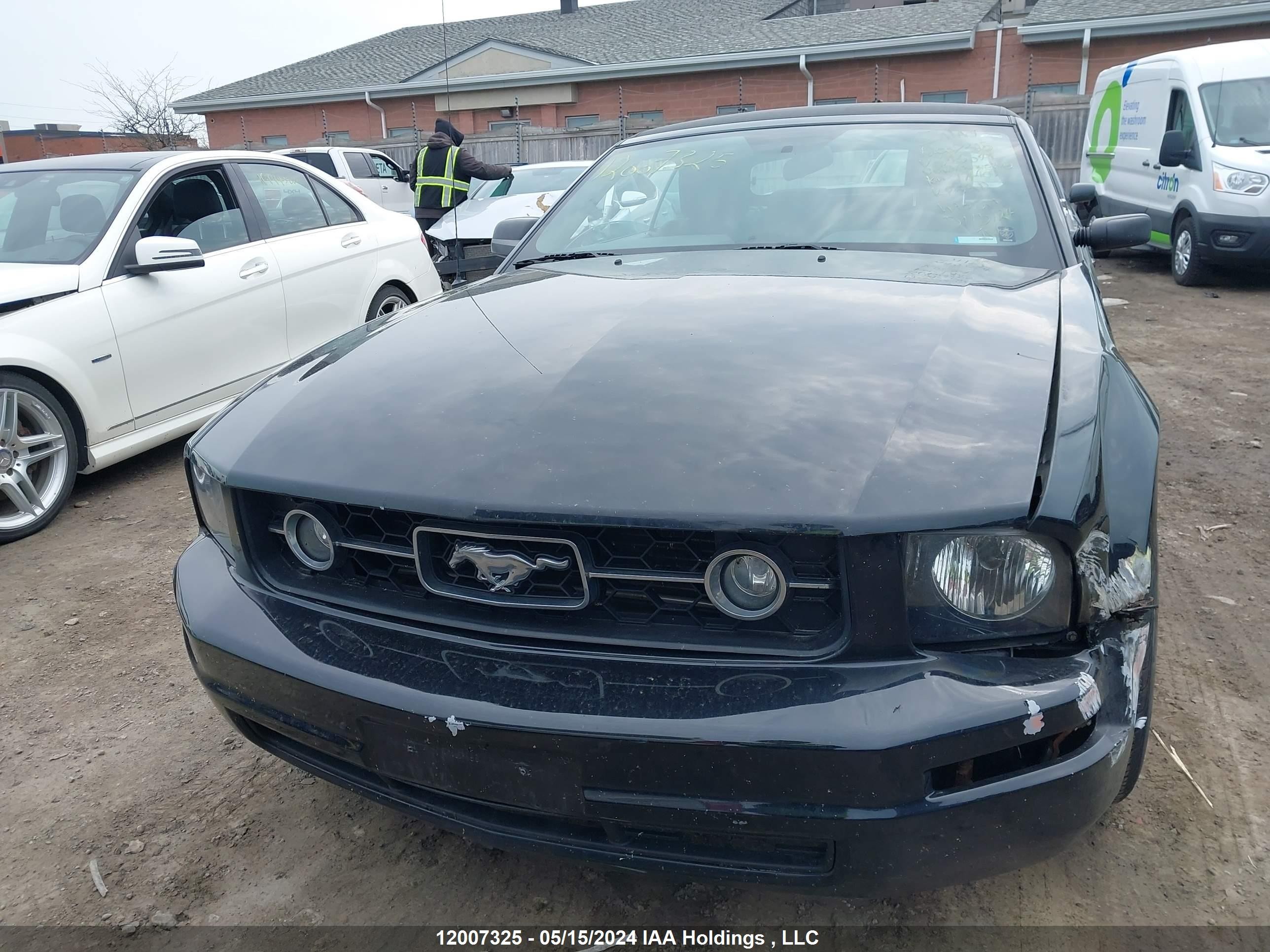 Photo 11 VIN: 1ZVFT84N665243049 - FORD MUSTANG 