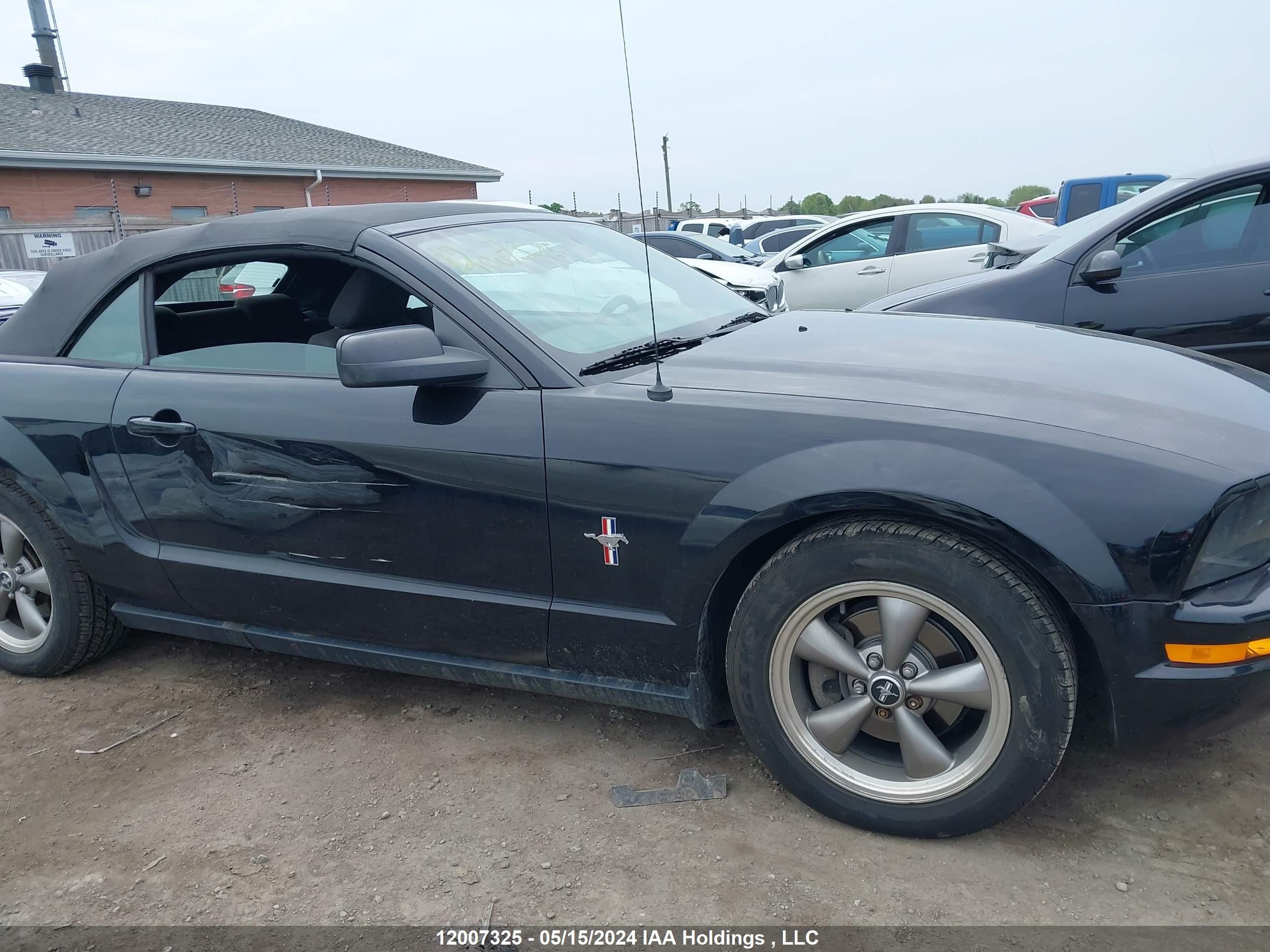 Photo 12 VIN: 1ZVFT84N665243049 - FORD MUSTANG 