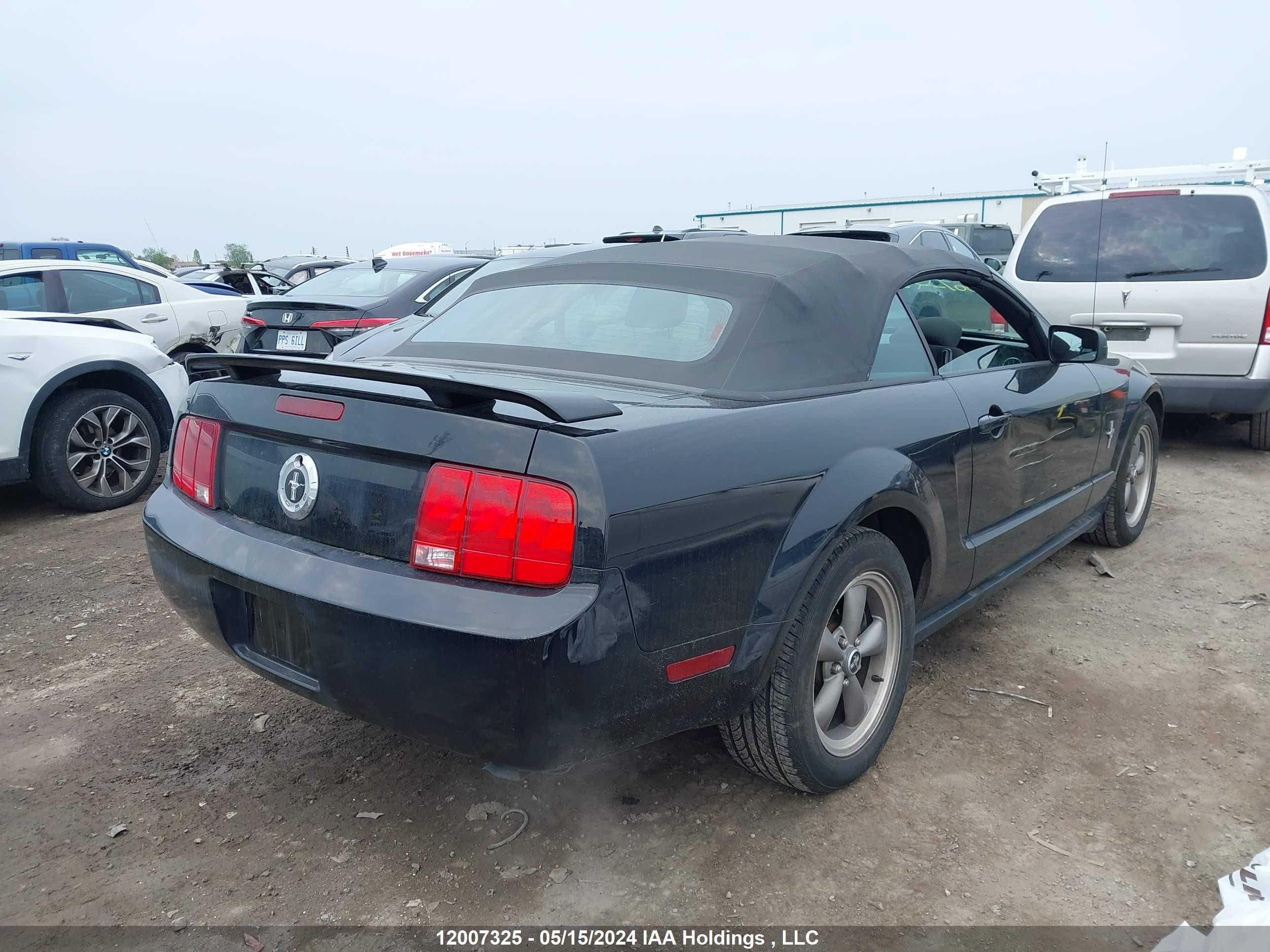 Photo 3 VIN: 1ZVFT84N665243049 - FORD MUSTANG 