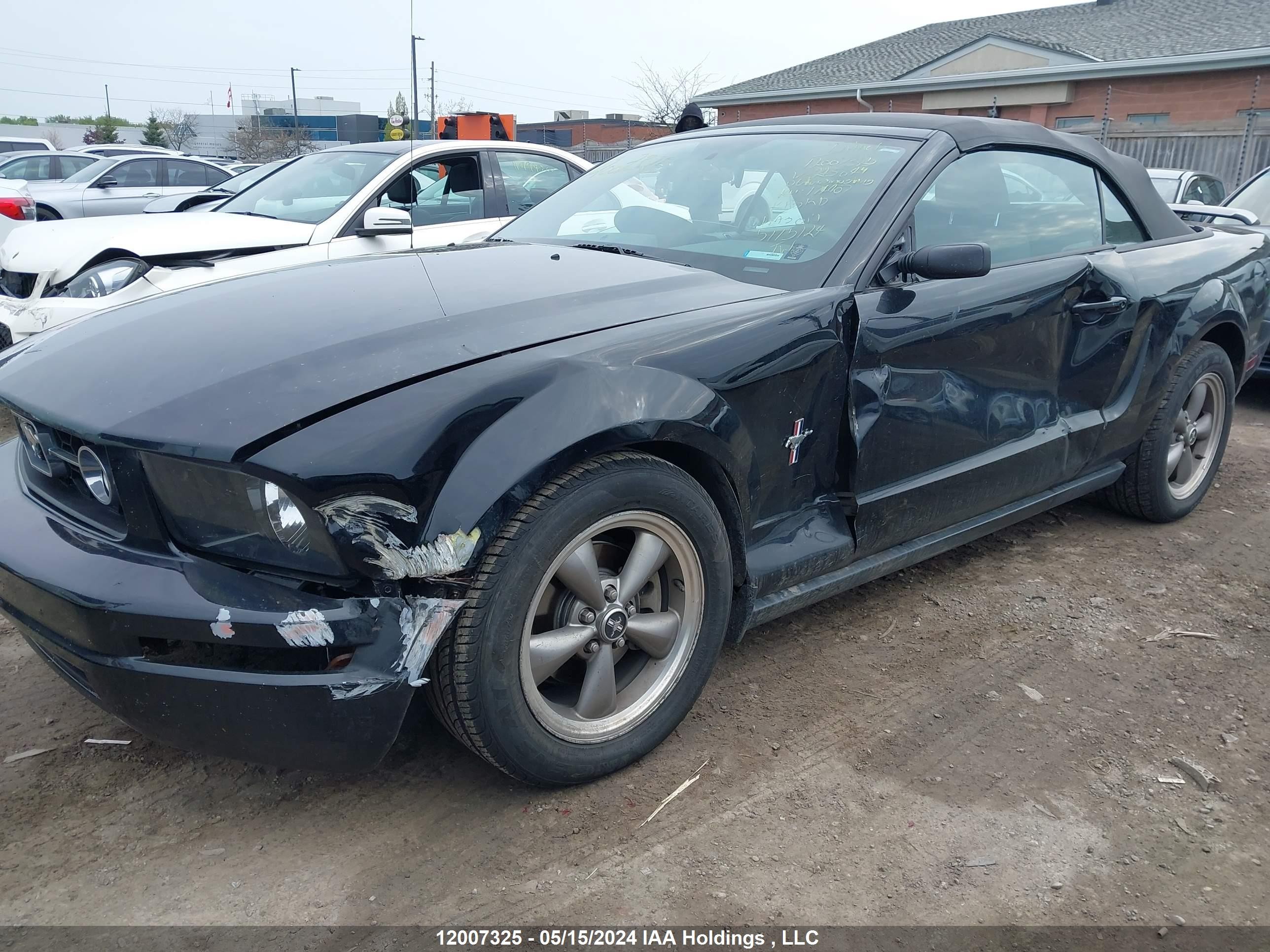 Photo 5 VIN: 1ZVFT84N665243049 - FORD MUSTANG 