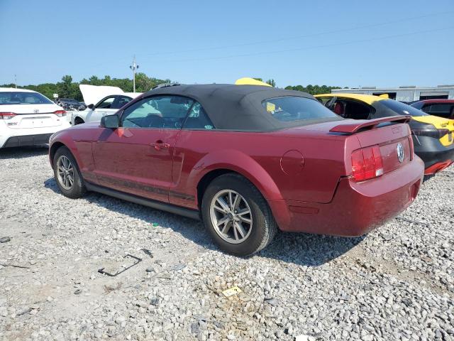 Photo 1 VIN: 1ZVFT84N755164391 - FORD MUSTANG 