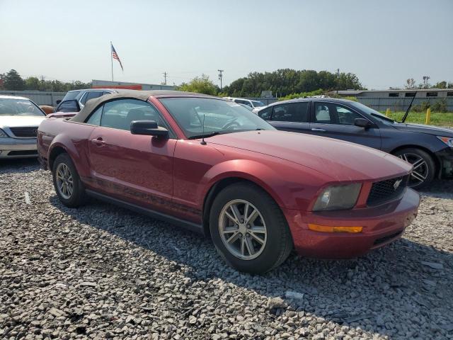 Photo 3 VIN: 1ZVFT84N755164391 - FORD MUSTANG 