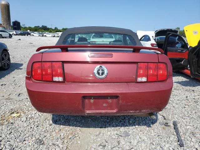 Photo 5 VIN: 1ZVFT84N755164391 - FORD MUSTANG 