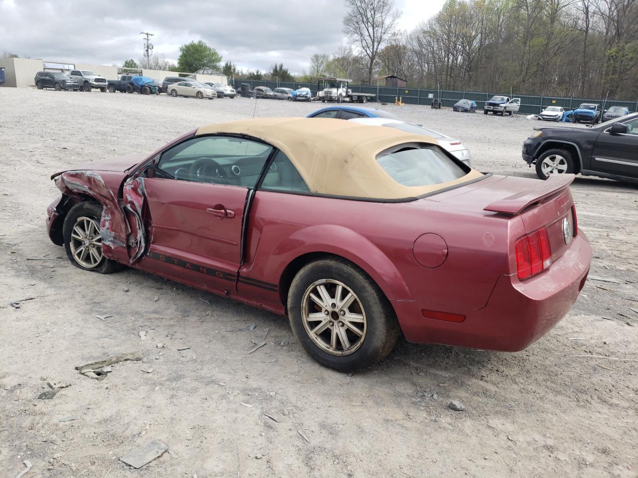 Photo 1 VIN: 1ZVFT84N755215582 - FORD MUSTANG 