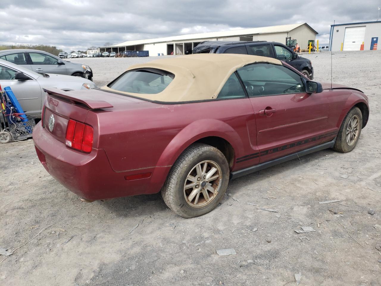 Photo 2 VIN: 1ZVFT84N755215582 - FORD MUSTANG 