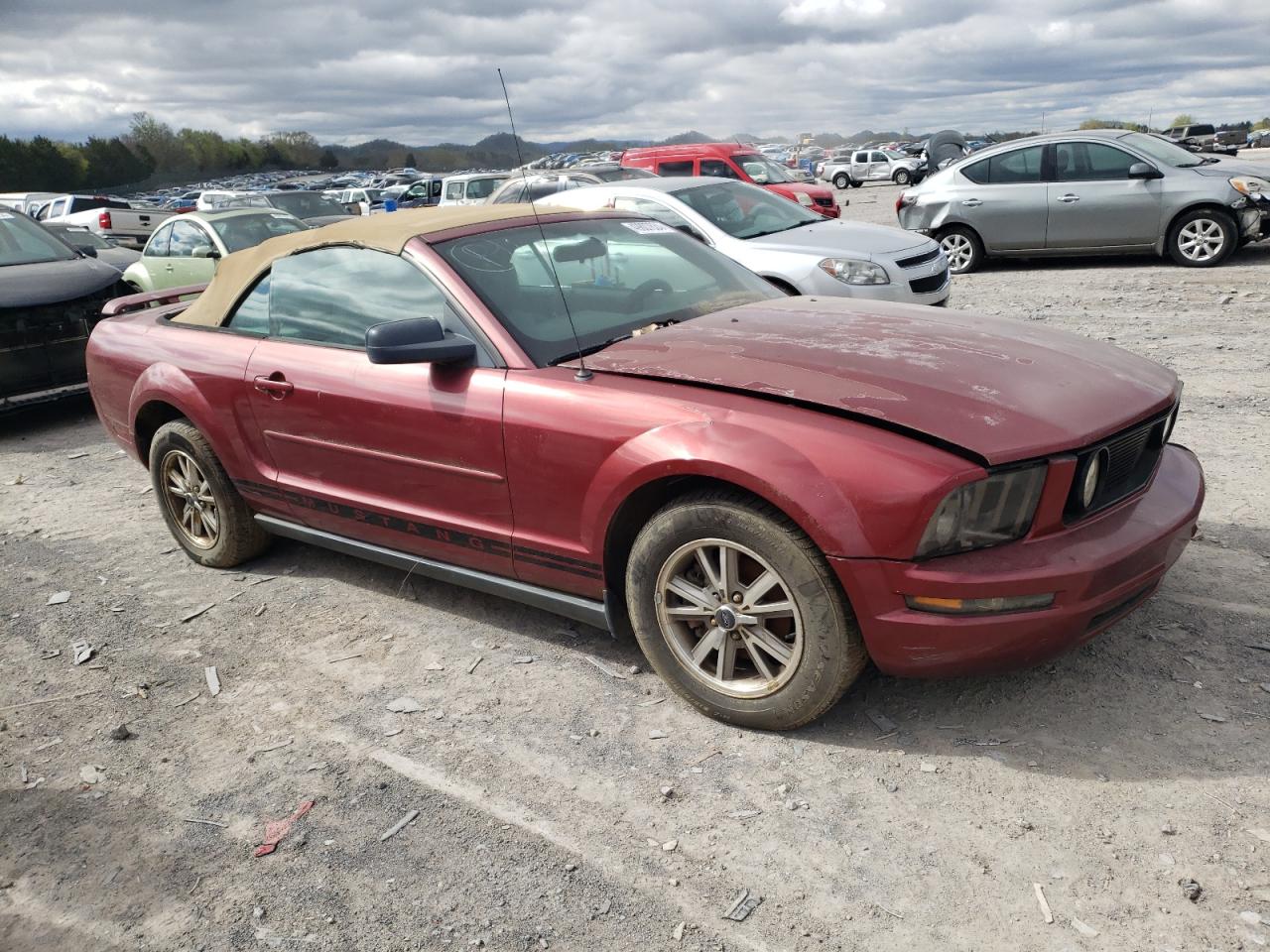 Photo 3 VIN: 1ZVFT84N755215582 - FORD MUSTANG 