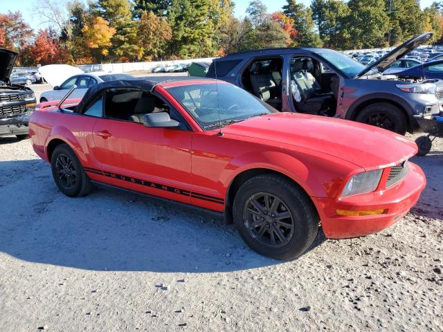 Photo 3 VIN: 1ZVFT84N765109313 - FORD MUSTANG 