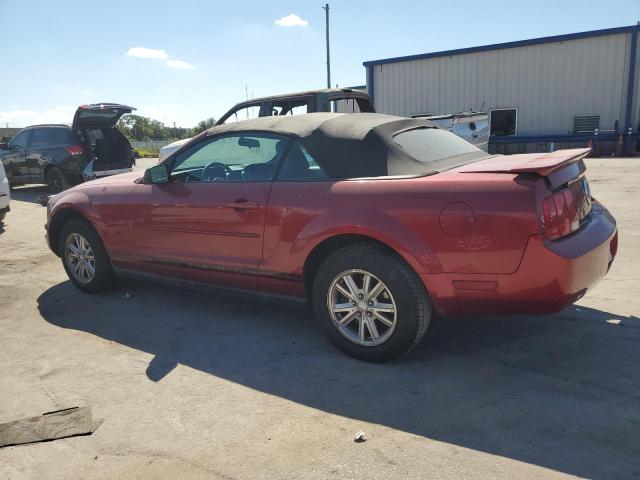 Photo 1 VIN: 1ZVFT84N775333621 - FORD MUSTANG 