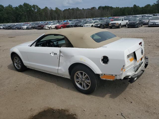 Photo 1 VIN: 1ZVFT84N855257162 - FORD MUSTANG 