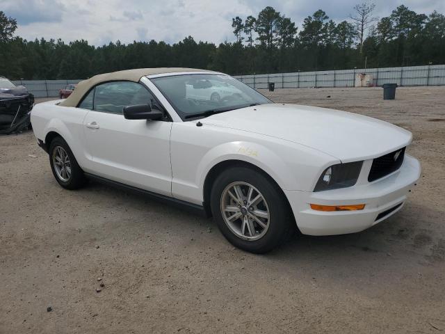 Photo 3 VIN: 1ZVFT84N855257162 - FORD MUSTANG 