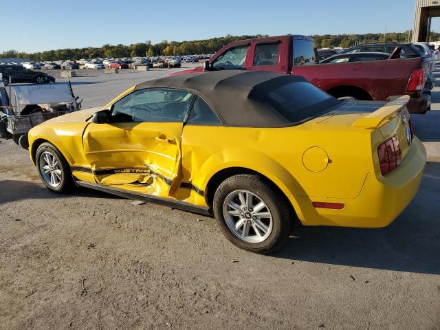 Photo 1 VIN: 1ZVFT84N865185218 - FORD MUSTANG 