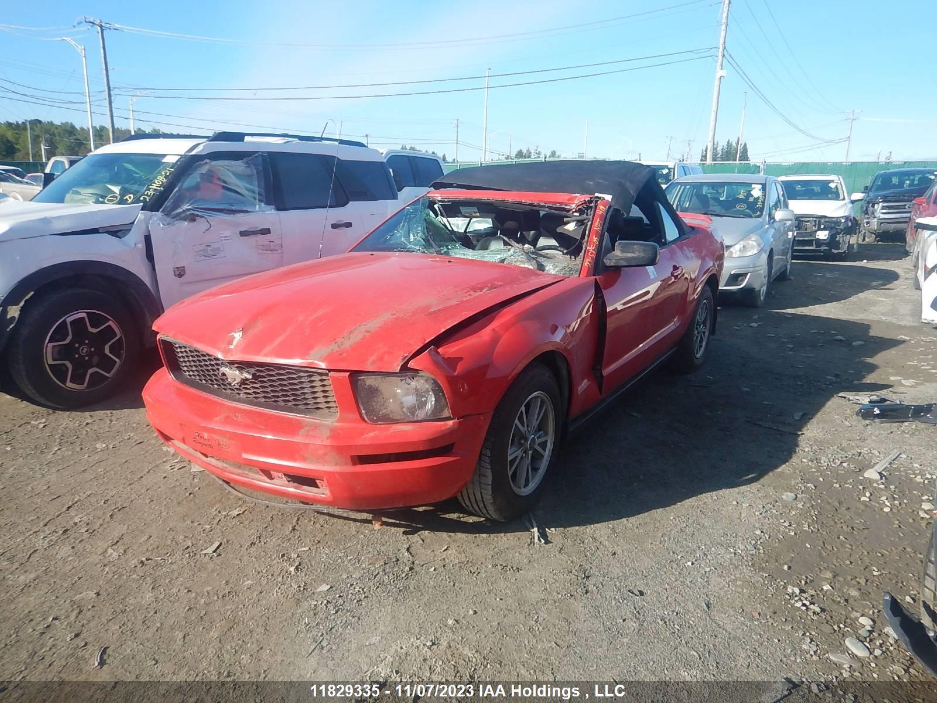 Photo 2 VIN: 1ZVFT84N955172234 - FORD MUSTANG 