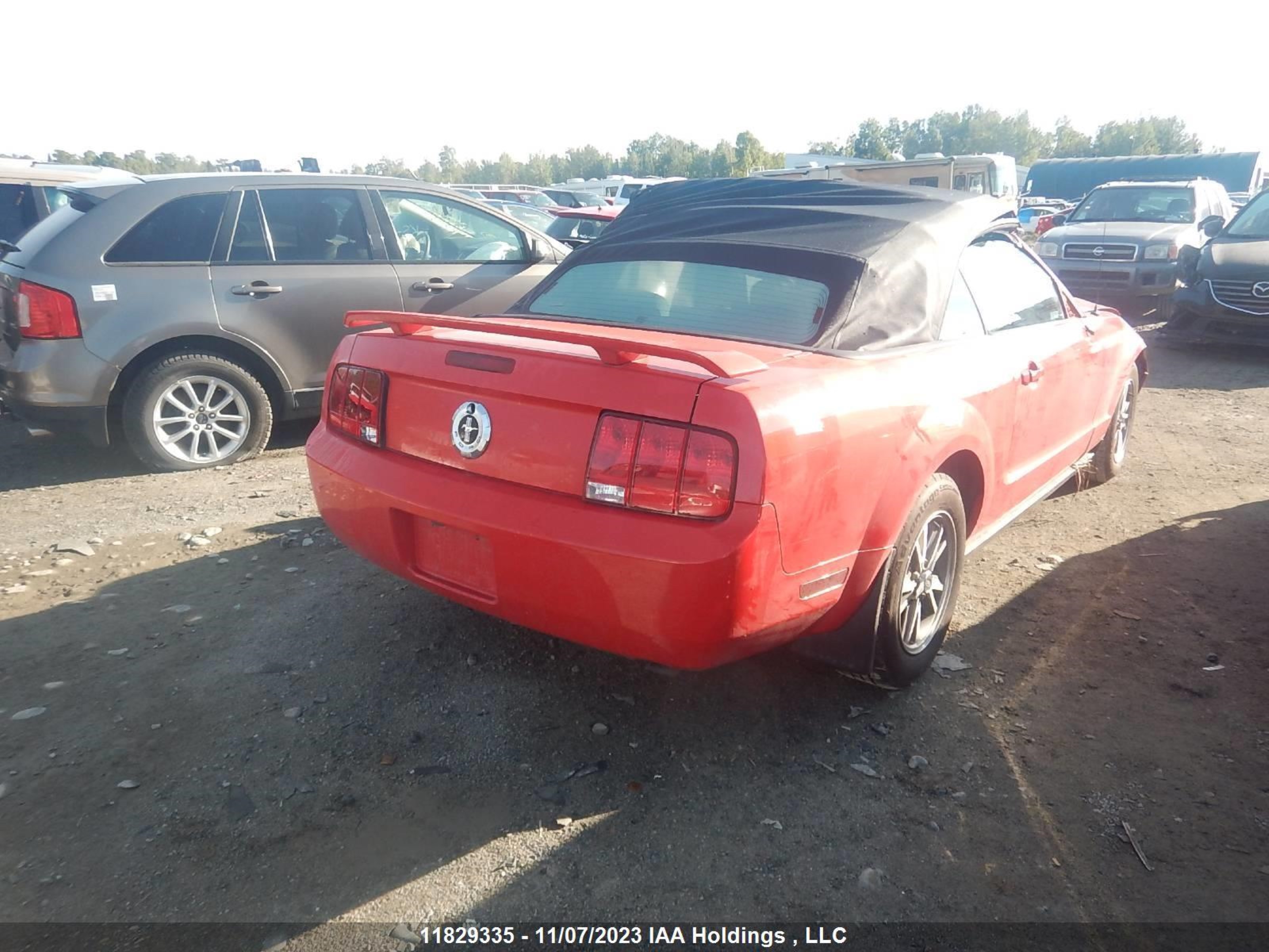 Photo 4 VIN: 1ZVFT84N955172234 - FORD MUSTANG 