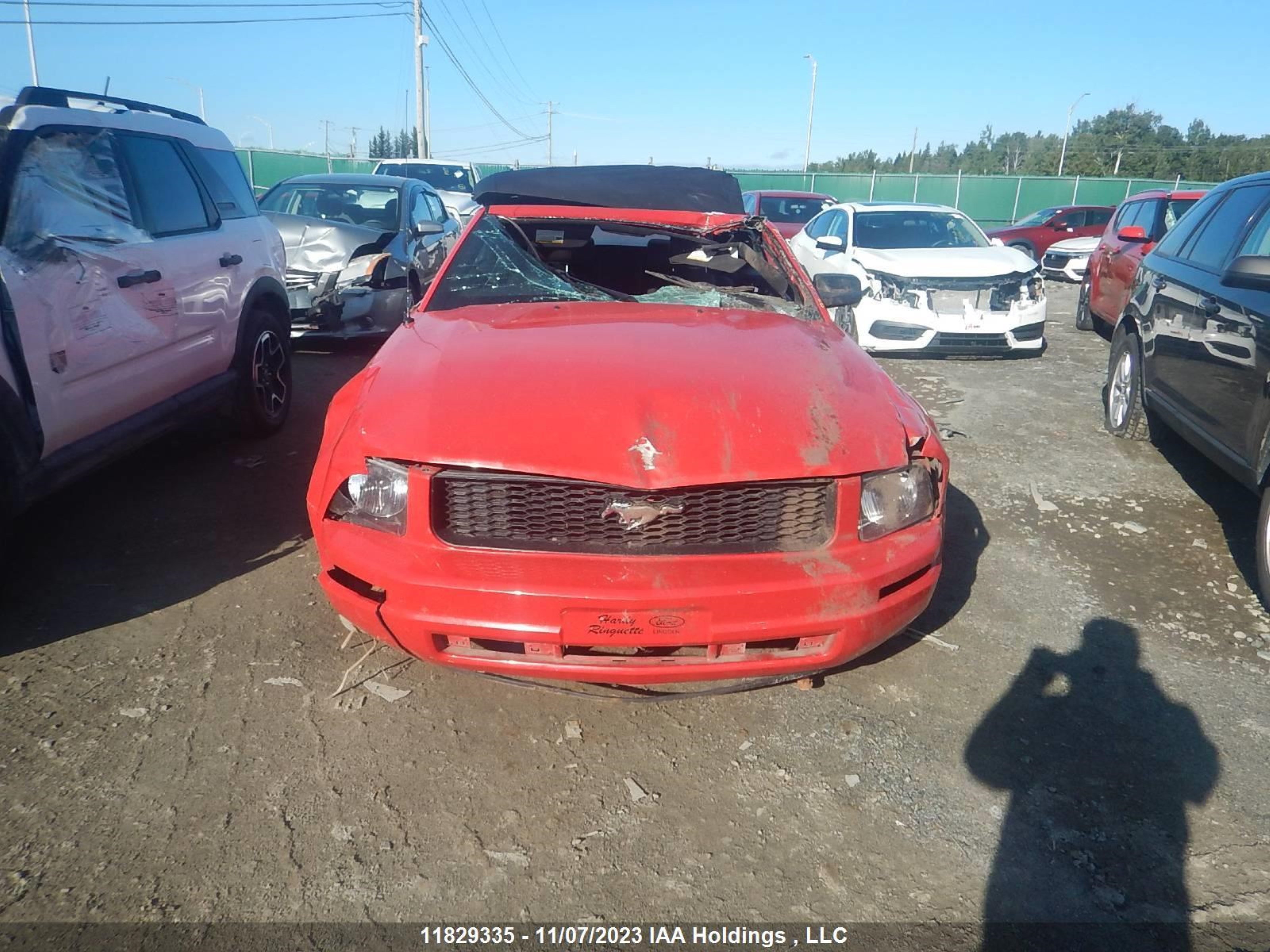 Photo 6 VIN: 1ZVFT84N955172234 - FORD MUSTANG 